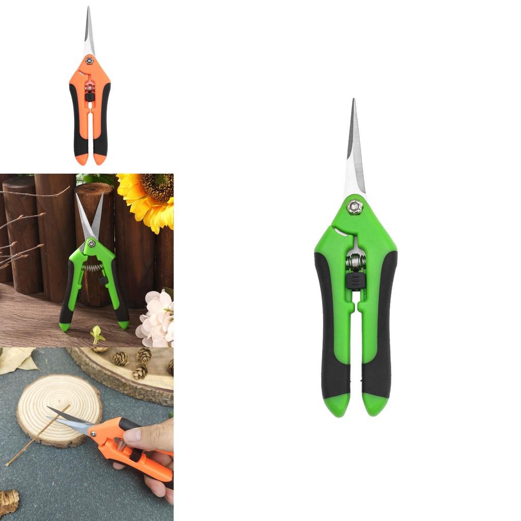 Gartenschere mit Edelstahl zum Beschneiden von Obstbäumen und für die Gartenarbeit im Freien