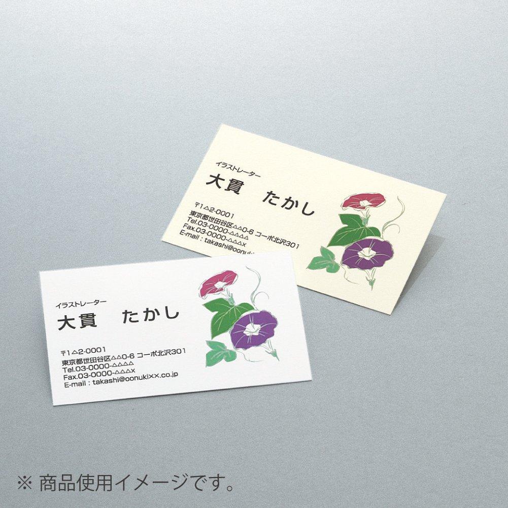 KOKUYO Multi-Printer Business Card Paper A4 10 Sheets Natural White KPC-VE10W