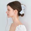 JUICY HAIR CLIP_COLORS HC044