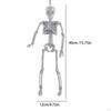 Halloweenská dekorace Závěsná kostra 15,75 palce Sběratelský dekorativní přívěsek Polohovatelný na terasu