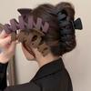 Premium Acrylic Grab Clip Large Simple Hairpin Women's Back Head Clip Headdress