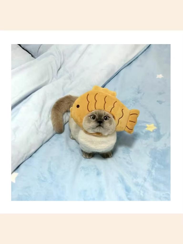 Haustier Fischkopf Hut Welpen Kätzchen Strickmütze Party Cosplay Niedlich Raffiniert Katzenhut Plüsch Elastisch Winter