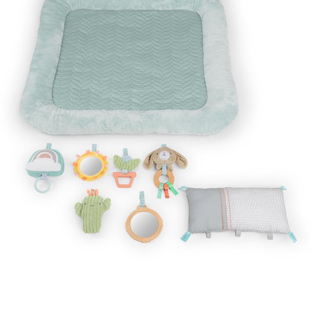 Ingenuity Calm Springs Fluffy Play Gym