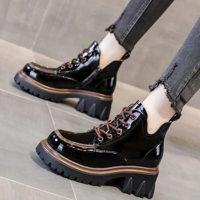 Shoes for Women 2025 Autumn Winter New Chunky Heel Platform Lace-up Women's Boots Fashionable Round Toe Zipper Motorcycle Boots