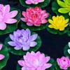 Künstliche Schwimmende Schaumstoff-Lotuspflanzen Gemischte Farbe Künstliche Lotusblumen Display-Charme für Teich- und Gartendekorationen