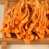 Cordyceps Militaris w proszku Organiczny grzyb bogaty w aminokwasy białkowe, ziołowy