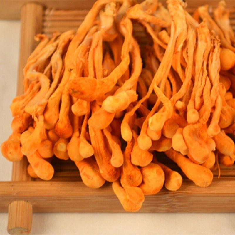 Cordyceps Militaris w proszku Organiczny grzyb bogaty w aminokwasy białkowe, ziołowy