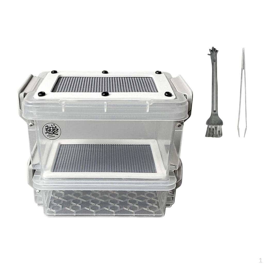 Roach Feeding Box Breeding Cage Lightweight, Container Clear Terrarium Habitat Critter Keeper