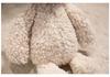 Cute Lamb Wool Plush Toy - Soothing Doll & Charming Companion for Girls