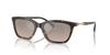 Sonnenbrille 0EA4238F SHINY HAVANA 54 [Emporio Armani]