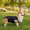 Anti-Licking Pet Physiological Pants Adjustable Dog Recovery Suit  Daily Wear