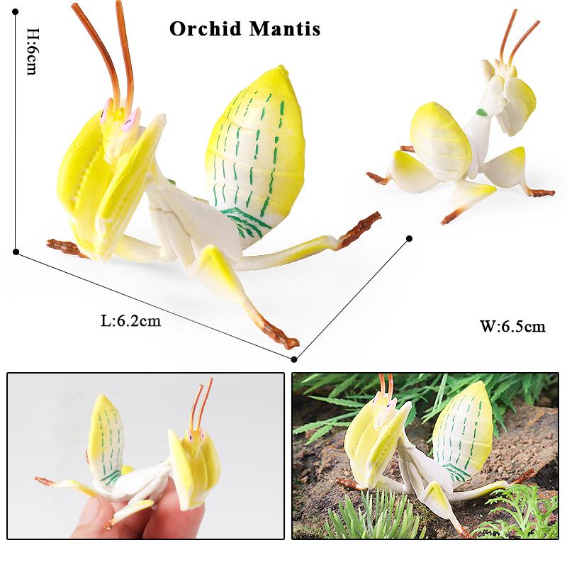Oenux Wild Insect Animals Model Mantis Grasshopper Butterfly Bee Beetle Action Figures PVC Science Education Collection Kid Toy