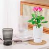 Hydroponische Blumenvase Transparente Vertikal Gemusterte Glasdesign-Vase Wiederverwendbare PET Moderne Nordische Stil-Vase für Blumen Pothos