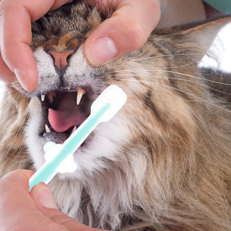Pet Silicone Toothbrush for Dogs Soft Small Breed Cleaner Brushing Kit Puppy Cat Oral Care Tools Doggy Toothbrush