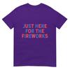 Just Here For The Fireworks Funny Shirt For Couple Unisex Unisex Tshirt
