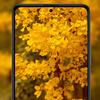 Camera Lens Protector Film for Xiaomi Poco F5 Pro Screen Protector for PocoF5 Poco F5Pro Camera Cover Film Protective Glass