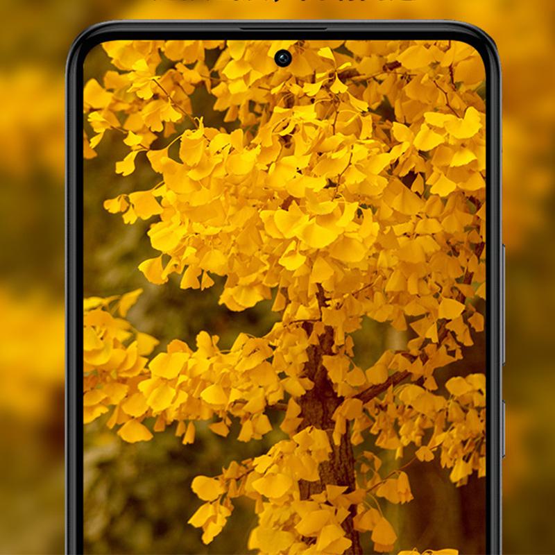 Camera Lens Protector Film for Xiaomi Poco F5 Pro Screen Protector for PocoF5 Poco F5Pro Camera Cover Film Protective Glass
