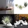 3Pcs Air Plant Holder Ceramics Airplants Plant Tillandsia Pots Hand Small Container Office Desk Decorations Top Sale