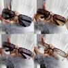 Fashion Unisex Square Frame Sunglasses With Protection For Travel And Parties