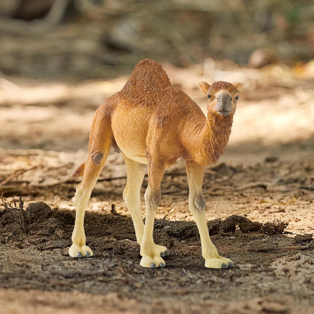 Schleich Wildlife Dromedary Figure 14832