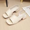 Summer cool slippers thick heel 2025 Rome new women's shoes square head black niche French retro sandals women