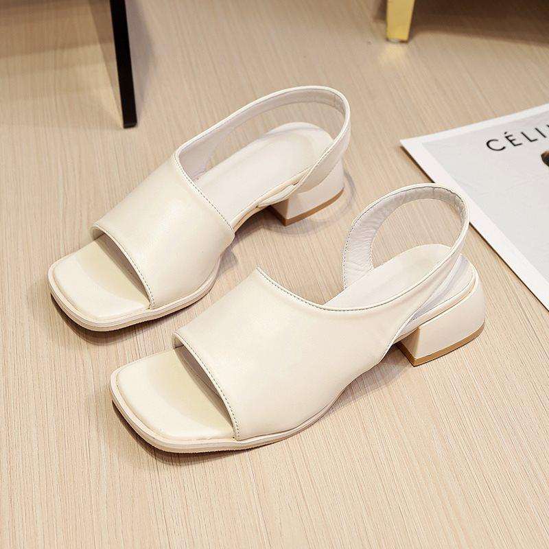 Summer cool slippers thick heel 2025 Rome new women's shoes square head black niche French retro sandals women