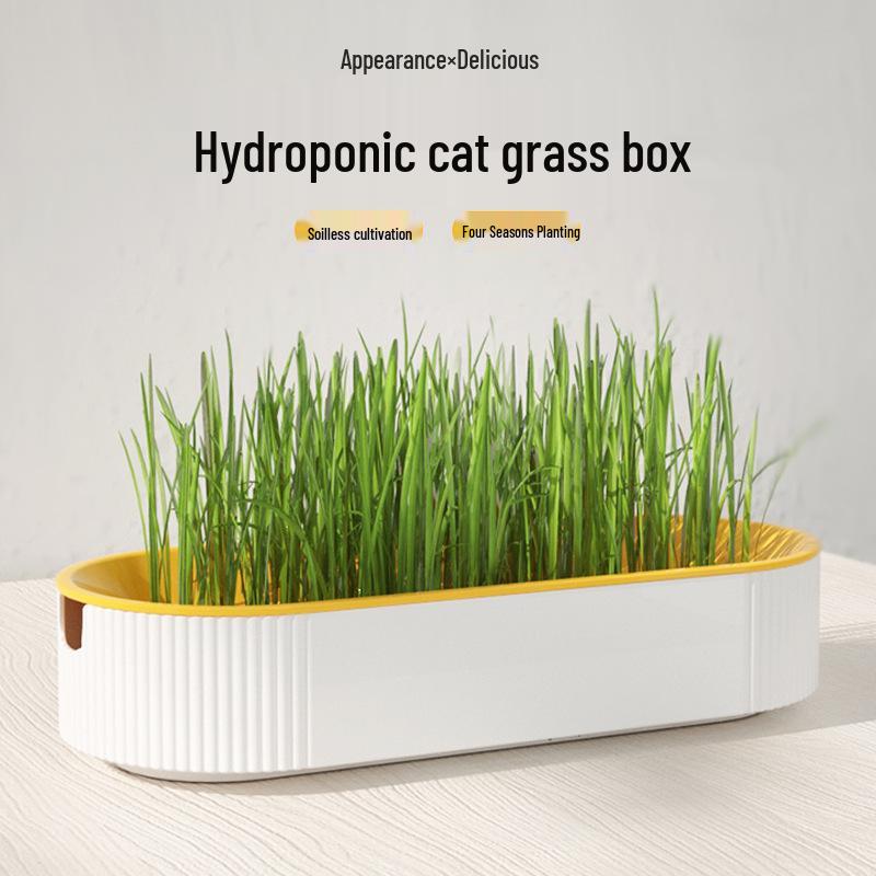 Hydroponic Cat Grass Set: Catnip Planting Box for Pet Snacks