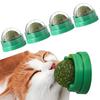 Gatos – Brinquedos para gatos