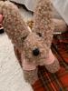 Cute Teddy Bear Plush Crossbody Bag Soft Puppy Shoulder Purse Sweet Cool Fashion Accessory For Women
