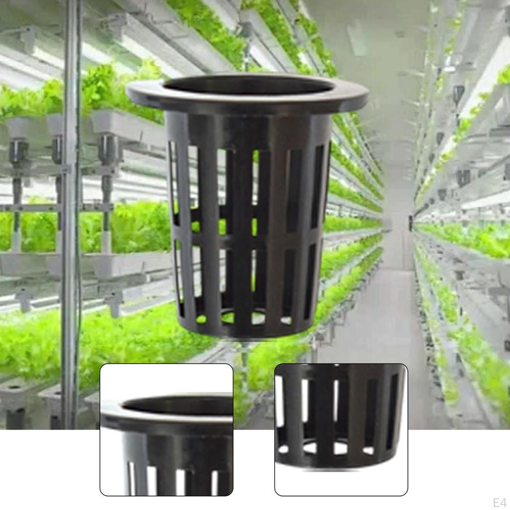 50 Net Pots for Planters, Slotted Planting Baskets, Propagation Garden Greenhouses