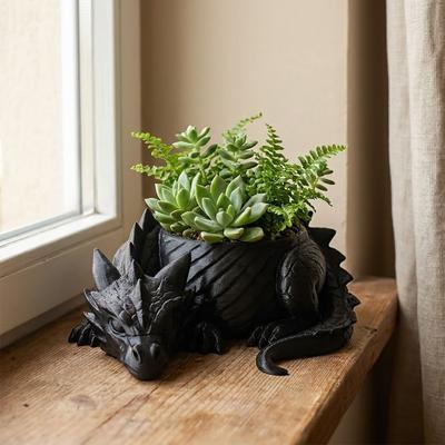 Plastic Draakvormige Plantenpot 3D Geprinte Sieraden Opbergbakje voor Bureau Decoratie