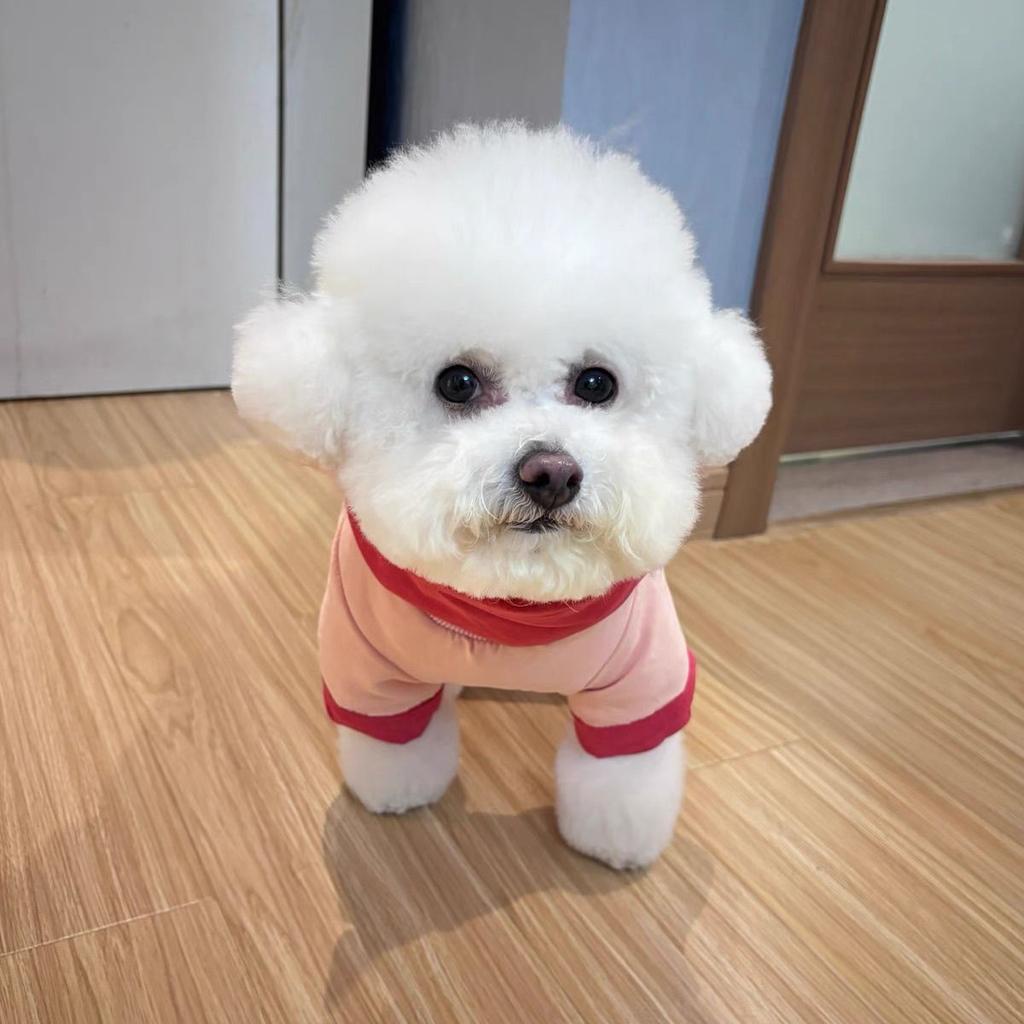 Winter Thickened Warm Dog Coat for Small Dogs Teddy Bichon Pomeranian Cats Pet Clothes Dog Costume Dog Clothes for Big Dogs