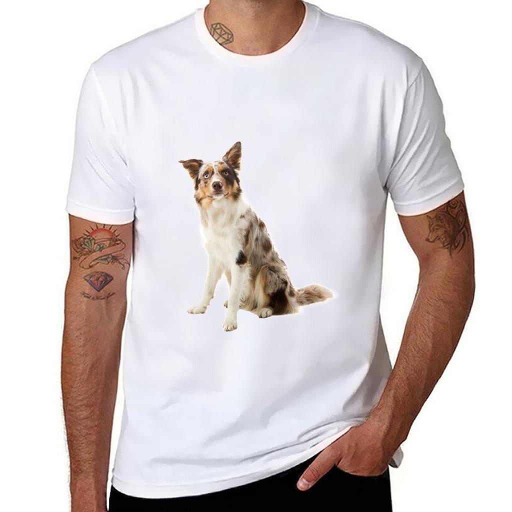 Border Collie Indie Tshirt Stretch Fabric Comfort Tshirt