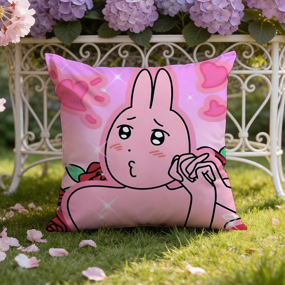 cartoon my friend r-rabbit Cushion Cover Home & Car Dual-Scene Pillow Cover: Reversible for Premium Comfort 30cmx30cm