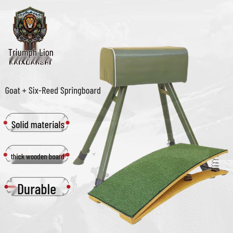 Gymnastics Vaulting Horse and Springboard