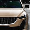 Cat Sticker Ultra Gloss Sand Beige Bubble Free PET Vinyl Film Auto Decal Car Interior Exterior Accessories Auto Decoration