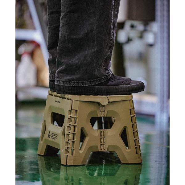 GORDON MILLER Folding Step Low, Folding Step Stool, Car Wash Platform, Outdoor Camping, Dark Gray