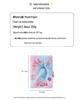 Diario con Lucchetto Peluche Sirena - Quaderno Serie Oceano per Bambini
