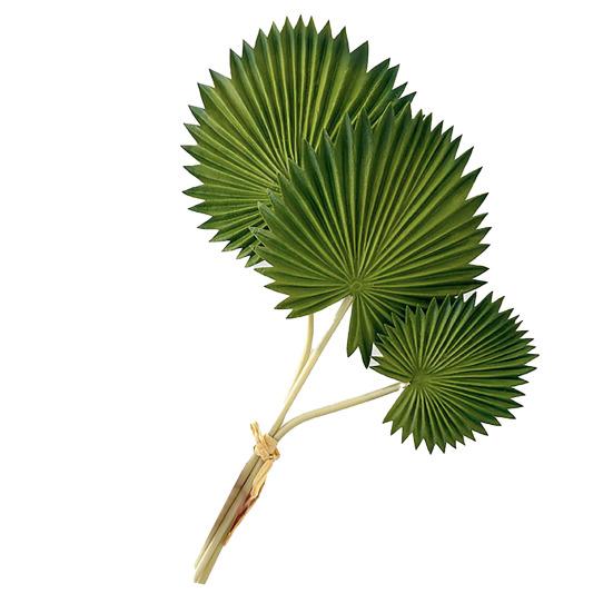 Artificial Leaf No-Maintenance Long-Lasting Freshness Realistic Fan-Shaped Leaves High-Simulation Texture Fake Tropical Leaves Home Decor