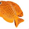 Artificial Fish Set for Aquatic Beauty