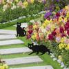 Cat Statue Yard Art Garden Decorative Stake Hollow Animals Cat Statue Decors Black Cat Statue Decorations for Yard