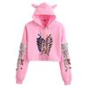 Attack on Titan Logo Hoodie Sweatshirt