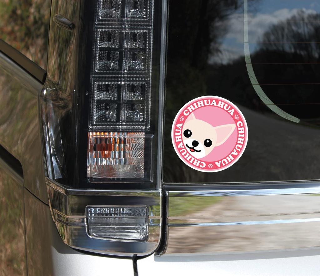 Stare Chihuahua Smooth Cream & White Dog Sticker Pink Back Round L + SS Size [Set of 4] MK-3