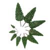33pcs Mini Plastic Green Trees Scale Architectural Models Train Railways Landscape Scenery Layout Garden Decoration