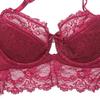 code lingerie sexy garter temptation set [Sexy 1701] Women's 4-piece set, bra, shorts, belt, stockings, (SV399-75D-Red)