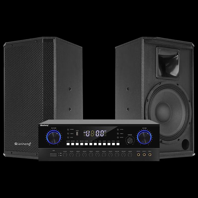 QIASHENG Conference Audio System Set