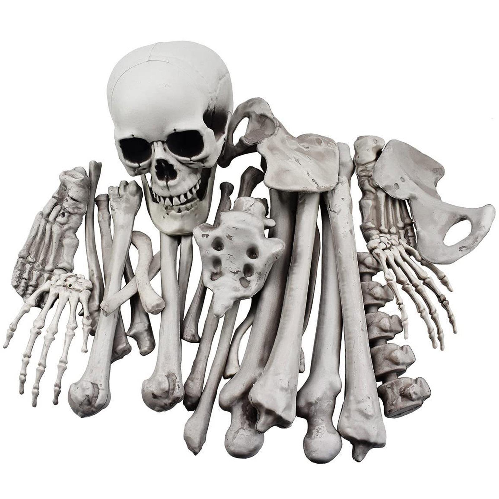 28 PCS Skeleton Bone with Skull Artificial Skeleton Bone and Skull Realistic Skeleton Bone Statue Plastic Material 1