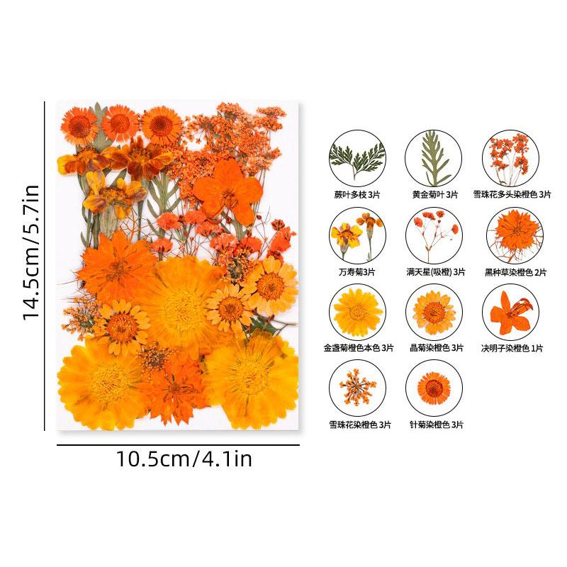 Halloween Theme Pressed Flower Kit for Resin Art Natural Real Pressed Orange Flower Leaves for DIY Epoxy Jewelry Bookmark