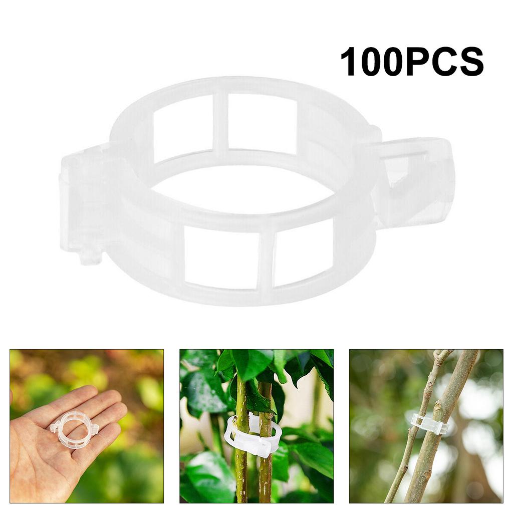 200Pcs Tomato and Veggie Garden Plant Support Clips Trellis Twine Greenhouse FA 200Pcs Tomato and Veggie Garden Plant Support Clips Trellis Twine Greenhouse FA