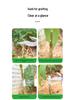 Baolian Multifunctional Grafting Knife for Tree Cuttings and Seedlings with Budding Scissors